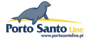 Grupo Sousa